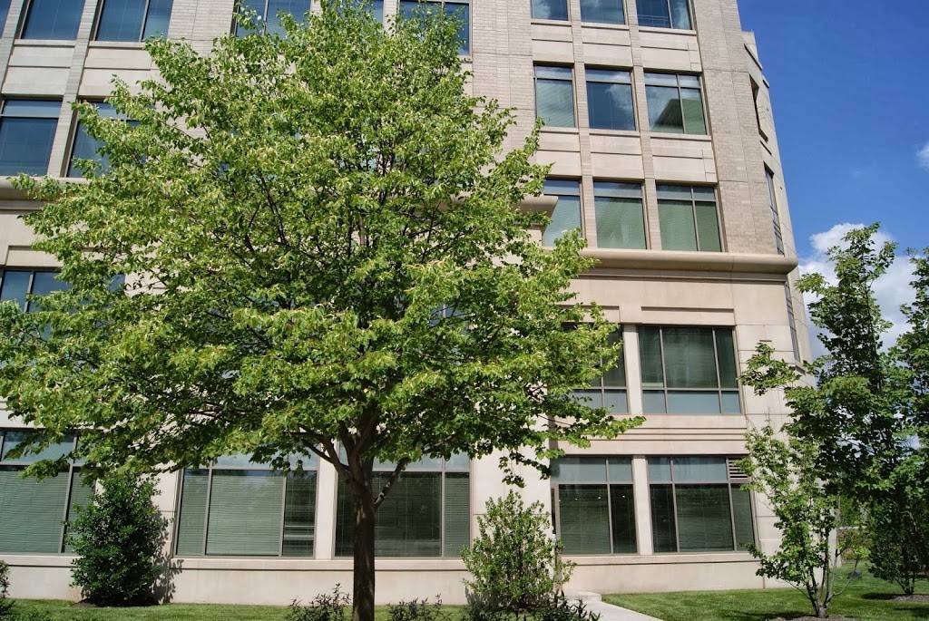 Uptown Cafe @ Trinity Center | cafe | 5870 Trinity Pkwy, Centreville, VA 20120, USA | 7038251881 OR +1 703-825-1881