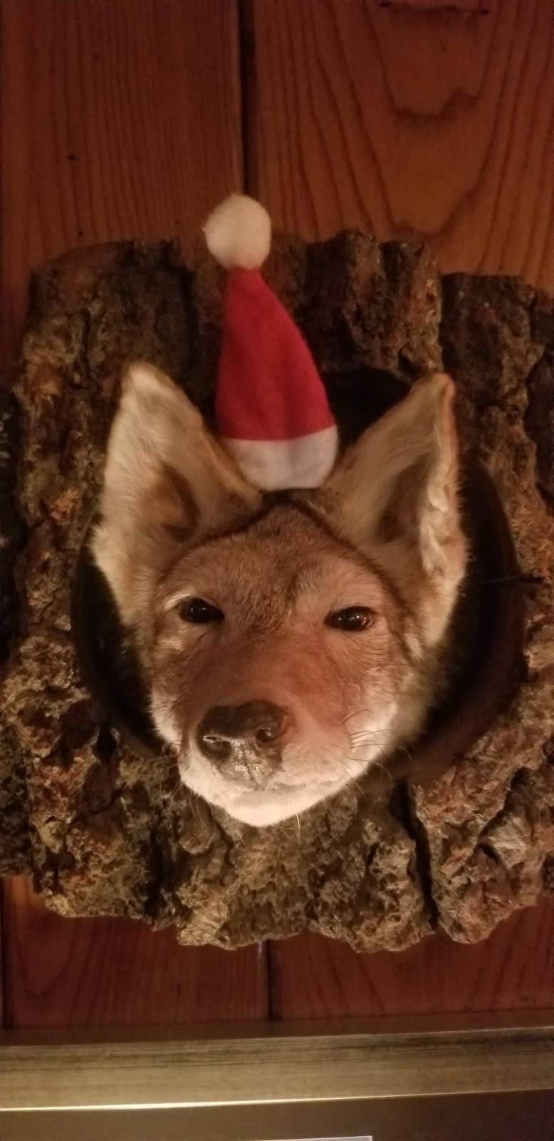 Timber Lodge | restaurant | 2809 Pearl Rd, Medina, OH 44256, USA | 3307256288 OR +1 330-725-6288