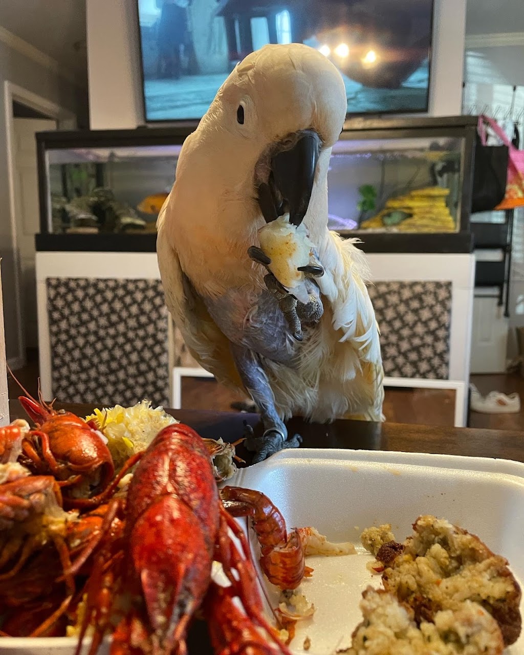 Crawdaddies House | restaurant | 509 S Rock St, Sheridan, AR 72150, USA | 8704840586 OR +1 870-484-0586