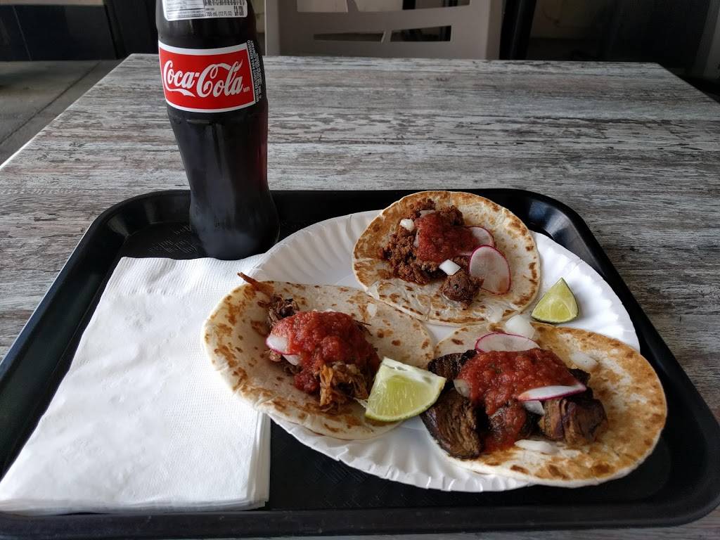 El Gato Taqueria | restaurant | 209 S Main St, Akron, OH 44308, USA | 3302534323 OR +1 330-253-4323