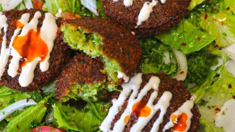 DUNYA fresh halal food | restaurant | 319 Blanding Blvd, Orange Park, FL 32073, USA | 9046448548 OR +1 904-644-8548