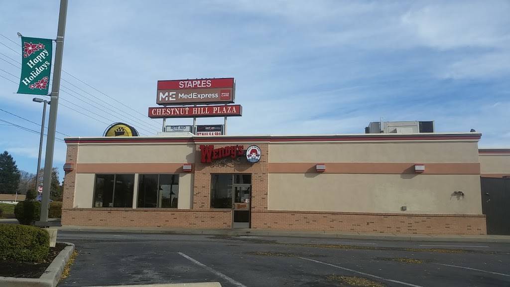 Wendys | restaurant | 30 Chestnut Hill Plaza, Newark, DE 19713, USA | 3023694245 OR +1 302-369-4245