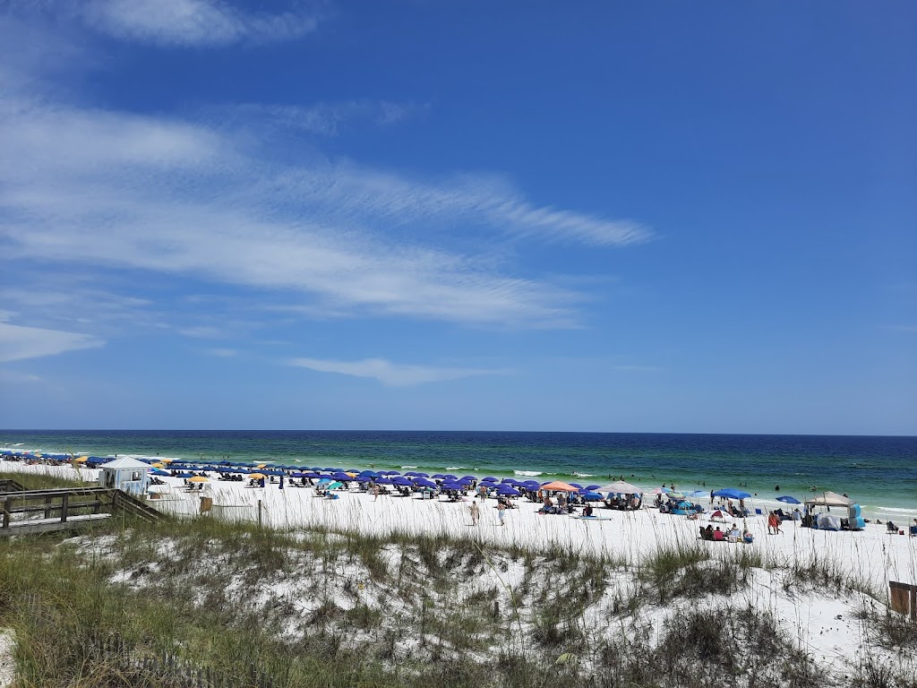 Surf Hut | restaurant | 551 Scenic Gulf Dr, Destin, FL 32550, USA | 8504607750 OR +1 850-460-7750