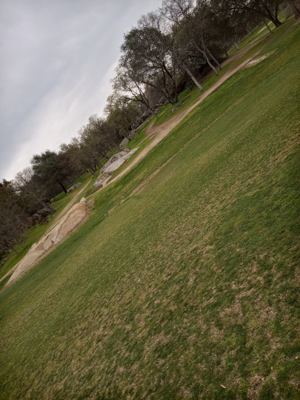 Turkey Creek Golf Club | restaurant | 1525 CA-193, Lincoln, CA 95648, USA | 9164349100 OR +1 916-434-9100