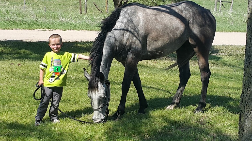 Meadville Store | restaurant | 89247 Meadville Cir, Ainsworth, NE 69210, USA | 4024972440 OR +1 402-497-2440