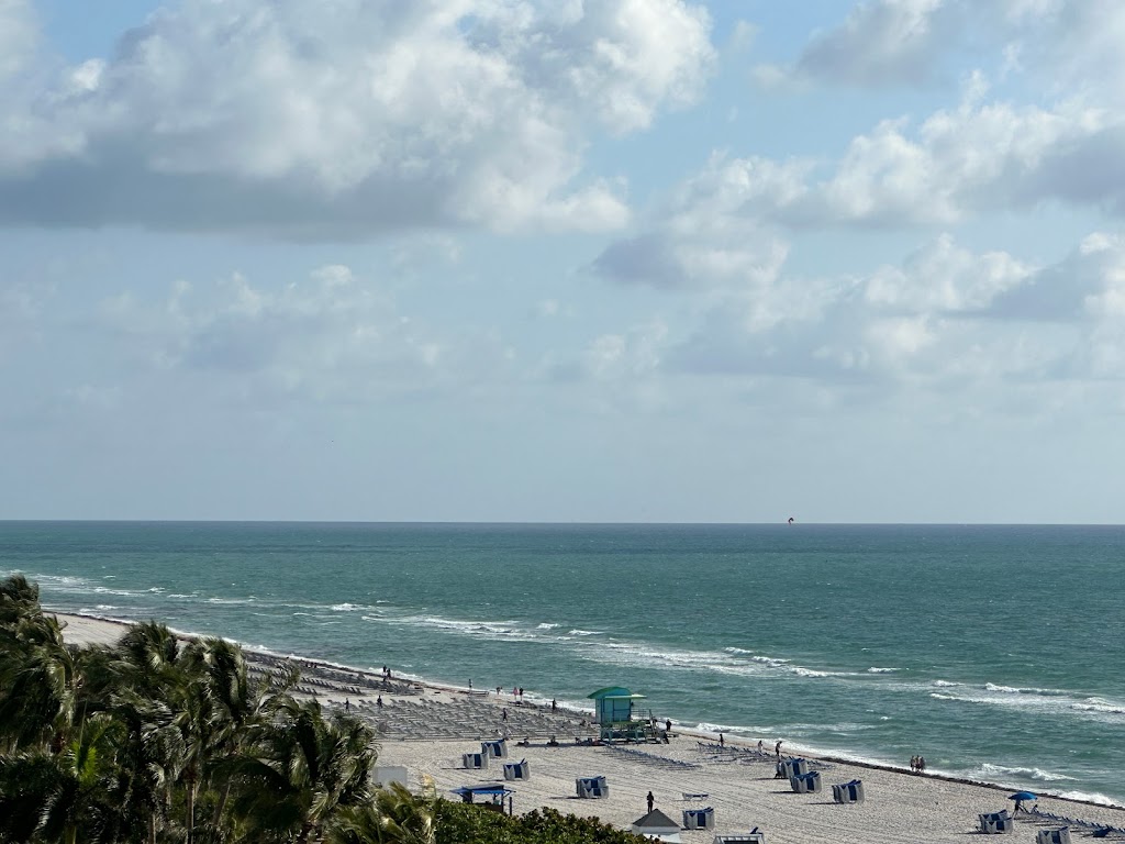 The Lounge at The Confidante | restaurant | 4041 Collins Ave, Miami Beach, FL 33140, USA | 8338164530 OR +1 833-816-4530