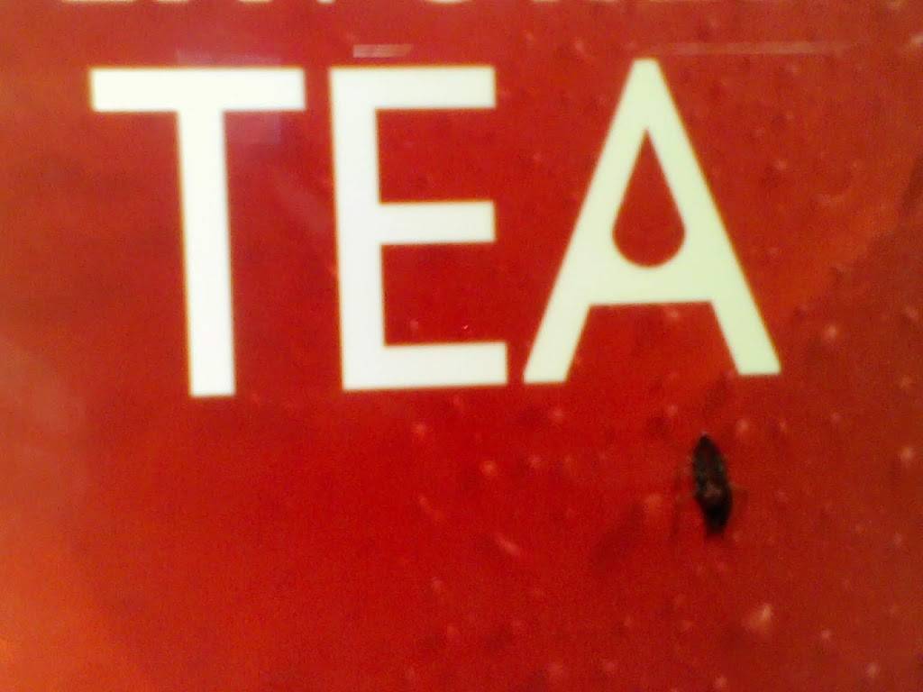 Wendys | restaurant | 1646 S Highland Ave, Jackson, TN 38301, USA | 7314249605 OR +1 731-424-9605