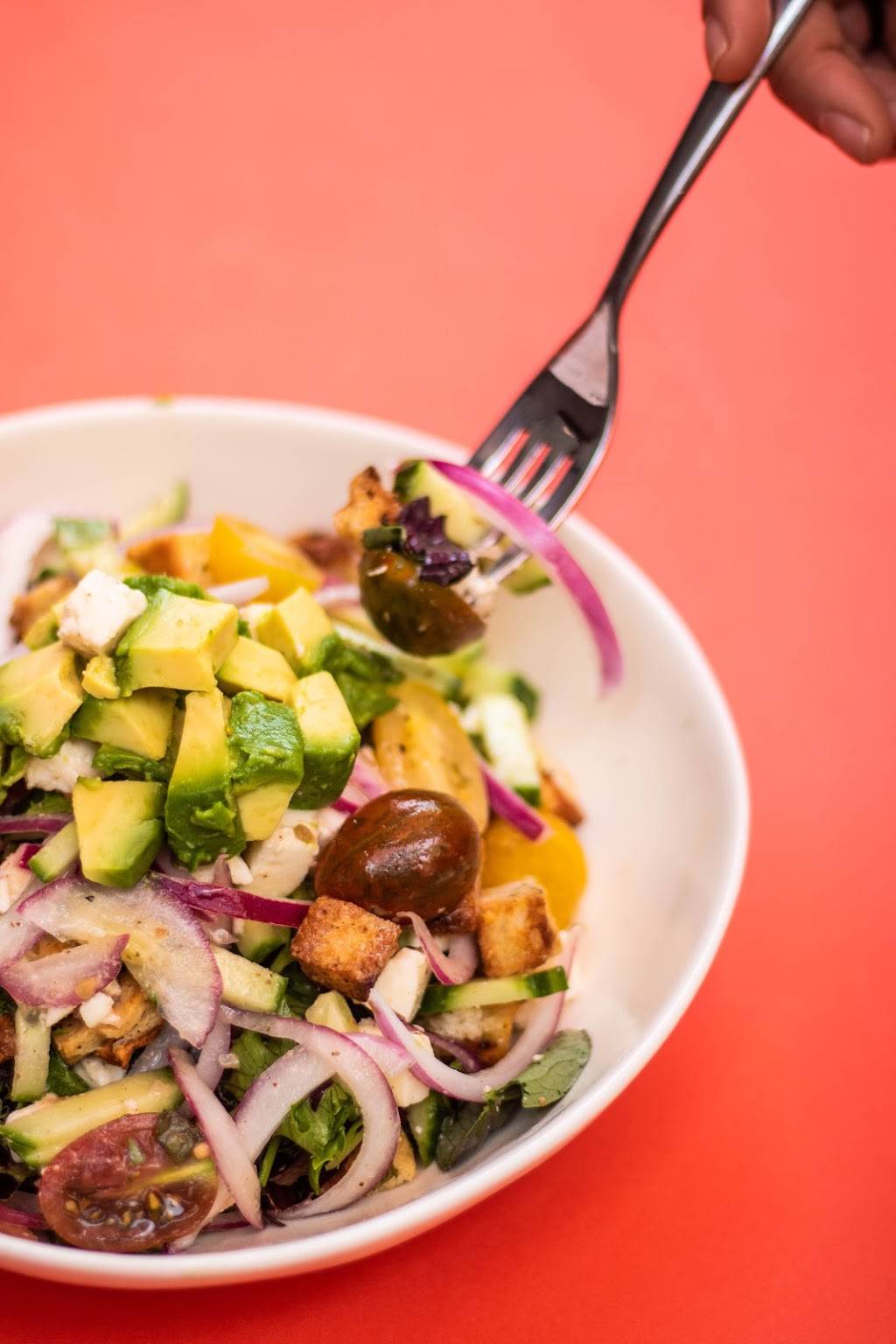 Pomo Pizza - Biltmore | restaurant | 2502 E Camelback Rd STE A&B, Phoenix, AZ 85016, USA | 6029545278 OR +1 602-954-5278