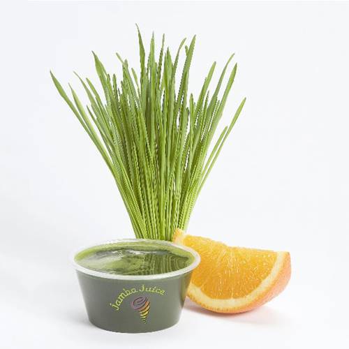 Jamba The Walk at Coral Springs | restaurant | 2816 N University Dr, Coral Springs, FL 33065, USA | 9545752228 OR +1 954-575-2228