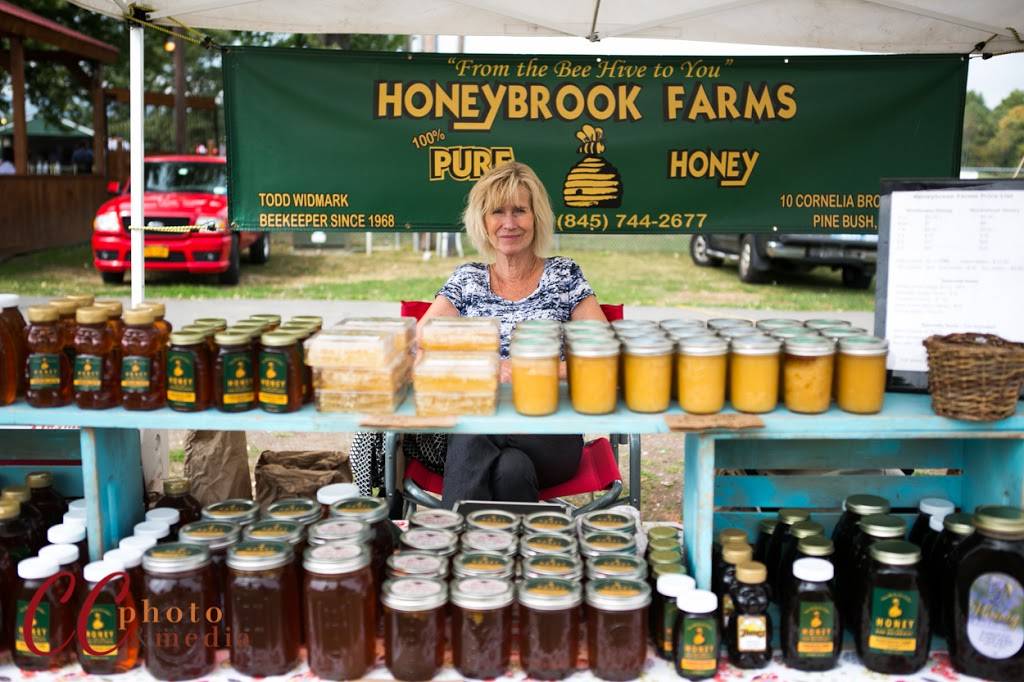 Taste of New Paltz | restaurant | 249 Libertyville Rd, New Paltz, NY 12561, USA | 8452550243 OR +1 845-255-0243