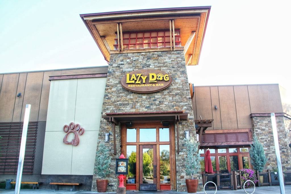 Lazy Dog Restaurant & Bar | restaurant | 24201 Valencia Blvd, Santa Clarita, CA 91355, USA | 6612539996 OR +1 661-253-9996