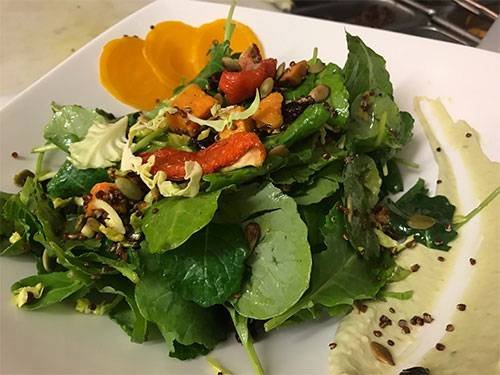 The Woodlawn Public House | restaurant | 1276 Yonge St, Toronto, ON M4T 1W5, Canada | 4169220404 OR +1 416-922-0404