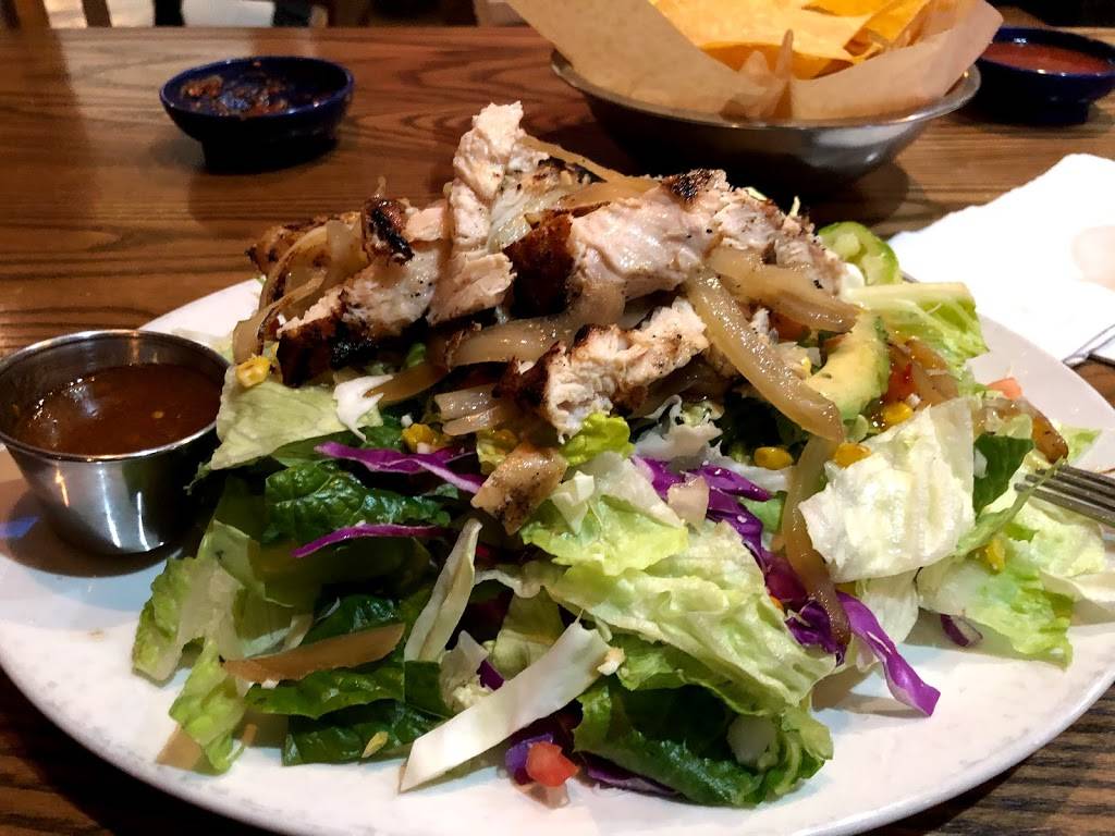 Phoenician Resto Cafe | restaurant | 2909 Guadalupe St, Austin, TX 78705, USA | 5127125904 OR +1 512-712-5904