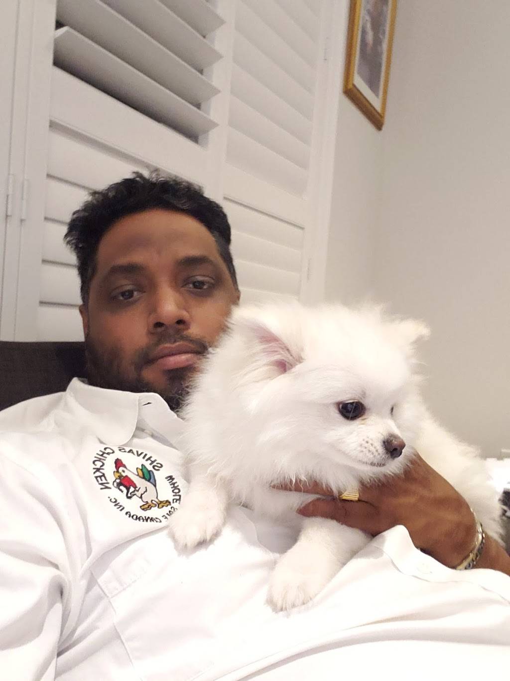 Shivas Chicken Wholesale | restaurant | 186 Bartley Dr, North York, ON M4A 1E1, Canada | 4168502356 OR +1 416-850-2356