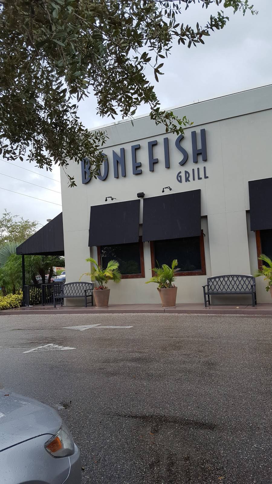 Bonefish Grill | restaurant | 1640 Bruce B Downs Blvd, Wesley Chapel, FL 33544, USA | 8139078202 OR +1 813-907-8202