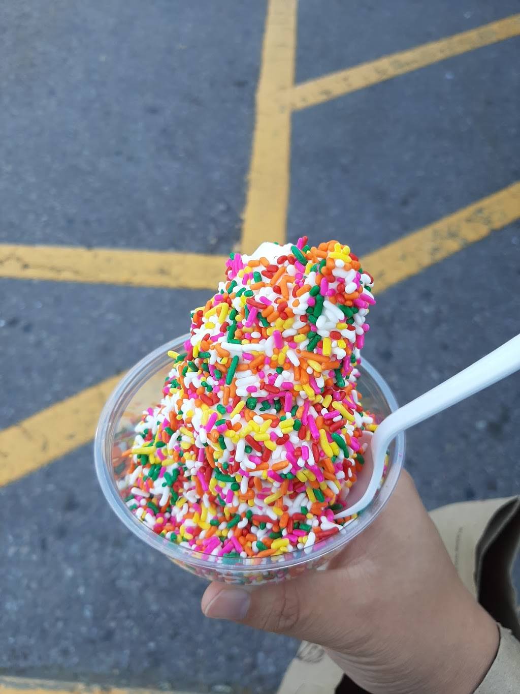 Als French Frys | restaurant | 1251 Williston Rd, South Burlington, VT 05403, USA | 8028629203 OR +1 802-862-9203