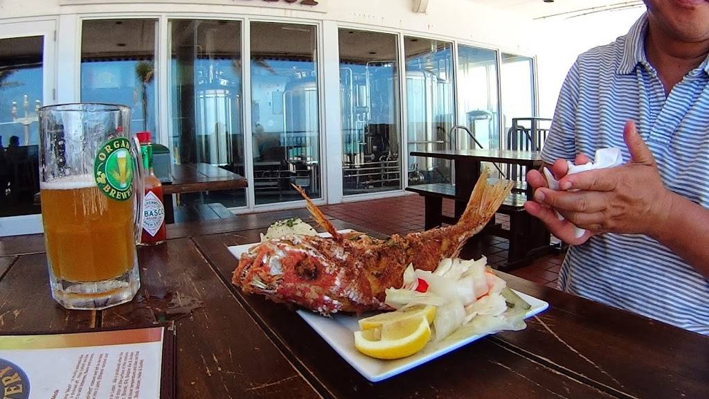 Hollywood Brewing Company | restaurant | 290 N Broadwalk, Hollywood, FL 33019, USA | 3054144757 OR +1 305-414-4757