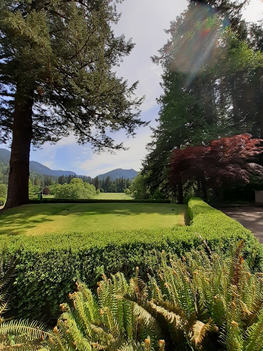 Mallards Cafe & Pub | restaurant | 68010 E Fairway Ave, Welches, OR 97067, USA | 5036222215 OR +1 503-622-2215