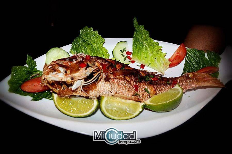 Costanera Peruvian Cuisine | restaurant | 3869 Northdale Blvd, Tampa, FL 33624, USA | 8139605820 OR +1 813-960-5820
