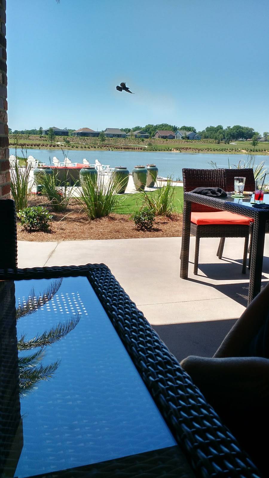 Trilogy Pool At Ocala Preserve | restaurant | Ocala, FL 34482, USA | 3522407435 OR +1 352-240-7435