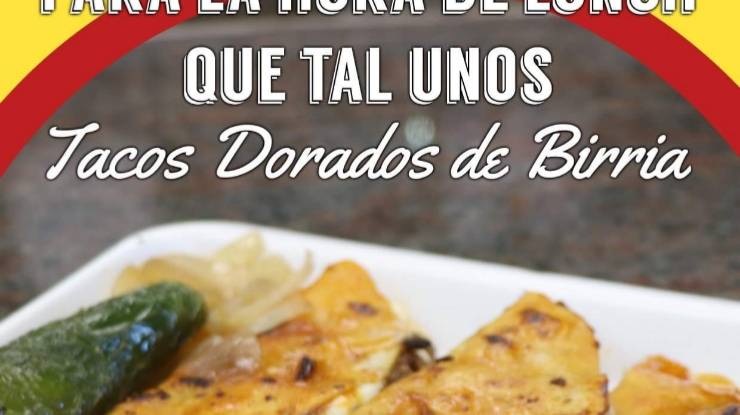 Dogos Don Nico | restaurant | 2333 W Broadway Rd, Mesa, AZ 85202, USA | 6028495221 OR +1 602-849-5221