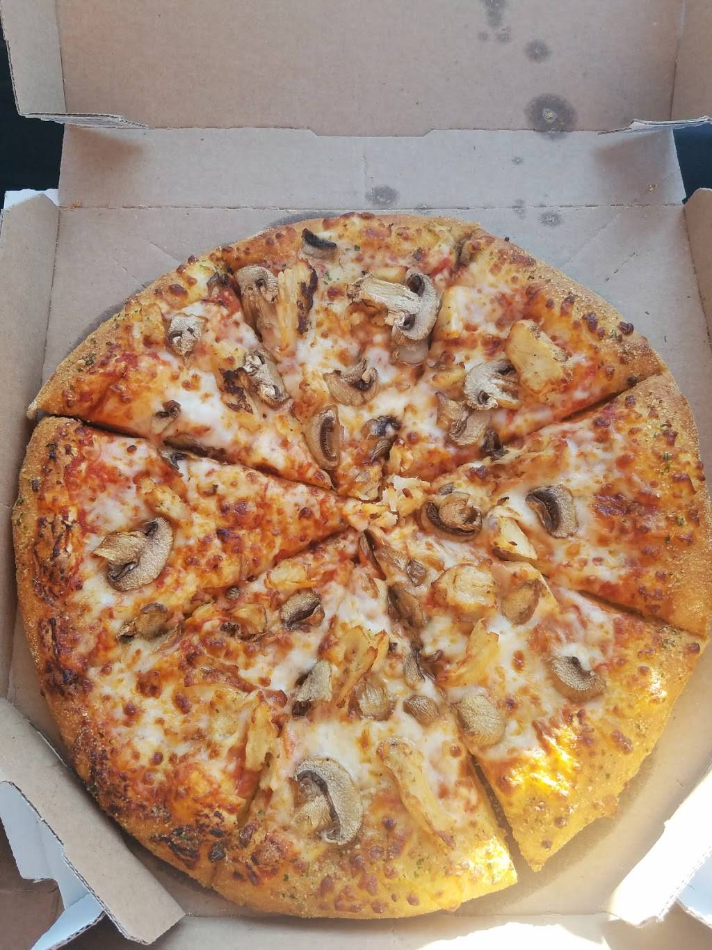 Dominos Pizza | meal delivery | 4520 Mahoning Ave, Austintown, OH 44515, USA | 3303308898 OR +1 330-330-8898
