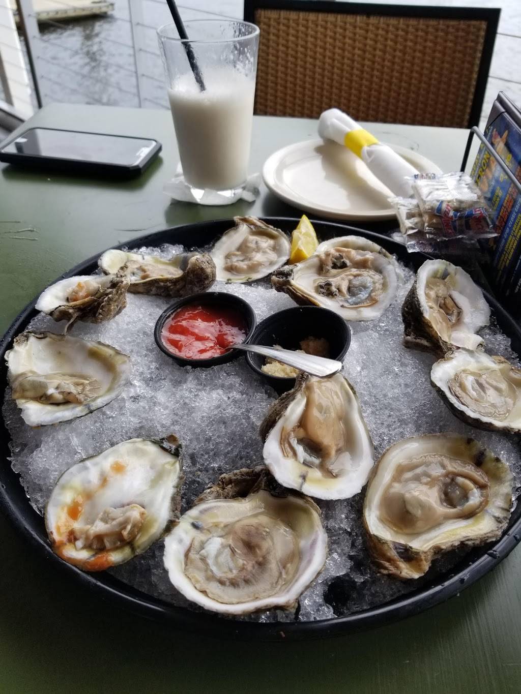 Hula Bay Club | restaurant | 5210 W Tyson Ave, Tampa, FL 33611, USA | 8138374852 OR +1 813-837-4852