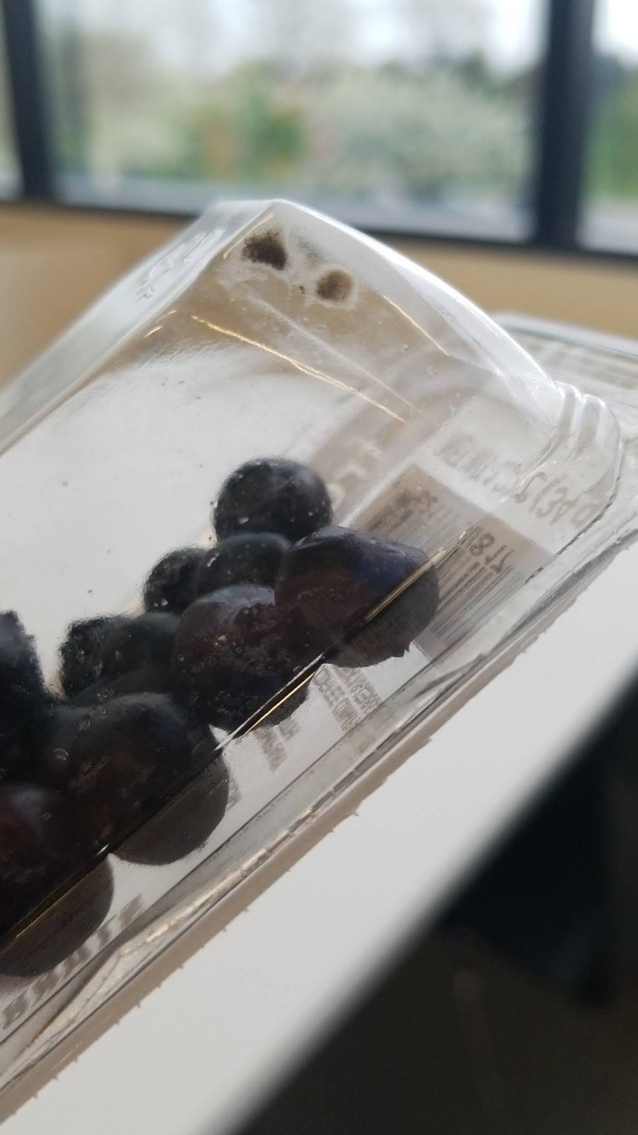 Starbucks | cafe | 4196-A, IL-83, Long Grove, IL 60047, USA | 2242816071 OR +1 224-281-6071