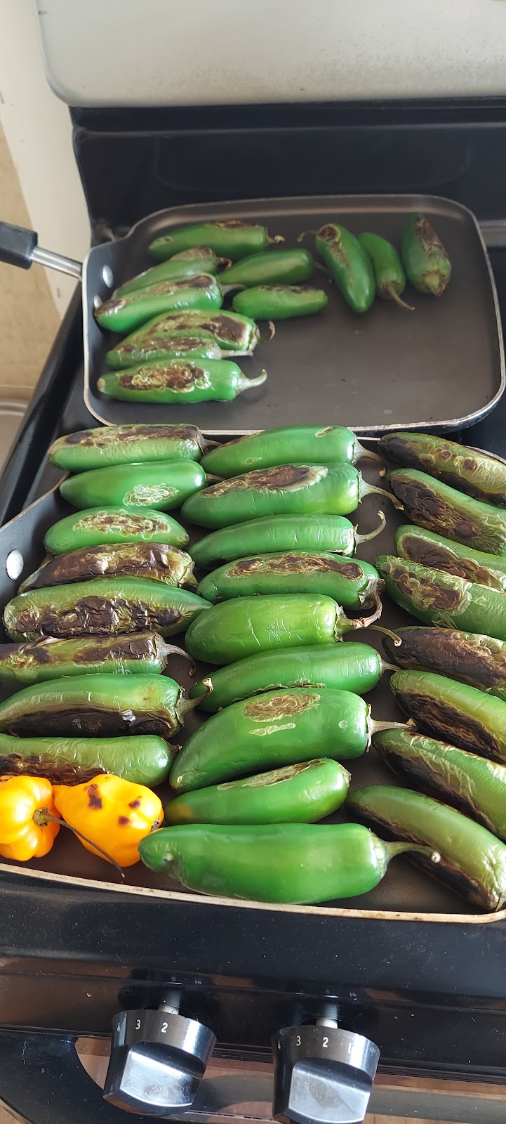 Hog Haven | restaurant | 300 ft South East of Black Mesa Shopping Center, US-160, Shonto, AZ 86044, USA | 9282780858 OR +1 928-278-0858