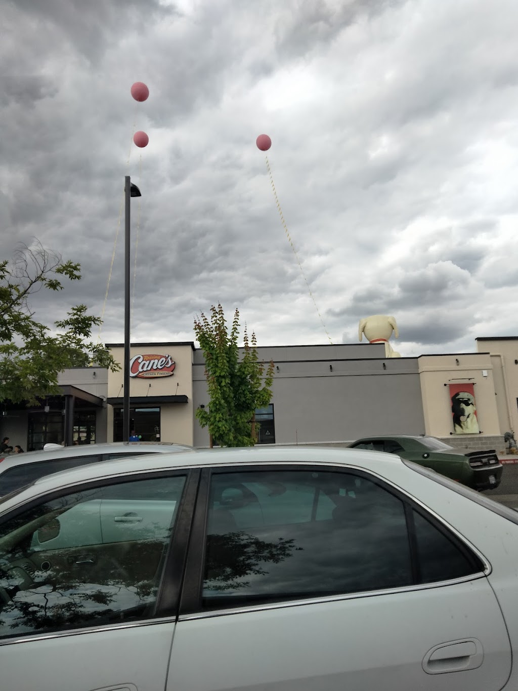 Raising Canes Chicken Fingers | restaurant | 3348 El Camino Ave, Sacramento, CA 95821, USA | 9164904587 OR +1 916-490-4587