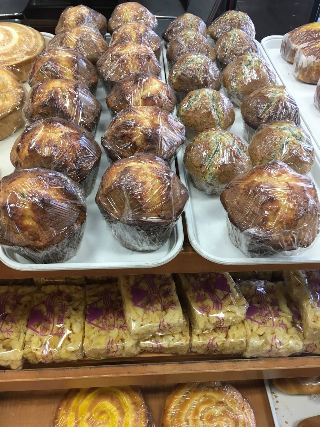 Dragon City Bakery & Cafe | bakery | 2367 Mission St, San Francisco, CA 94110, USA | 4158219718 OR +1 415-821-9718