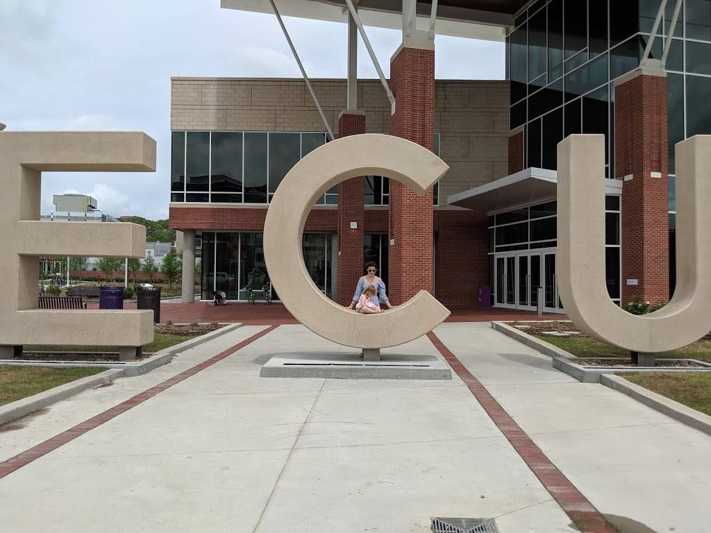 Raising Canes Chicken Fingers | meal takeaway | 501 E 10th St, Greenville, NC 27858, USA | 8665522637 OR +1 866-552-2637