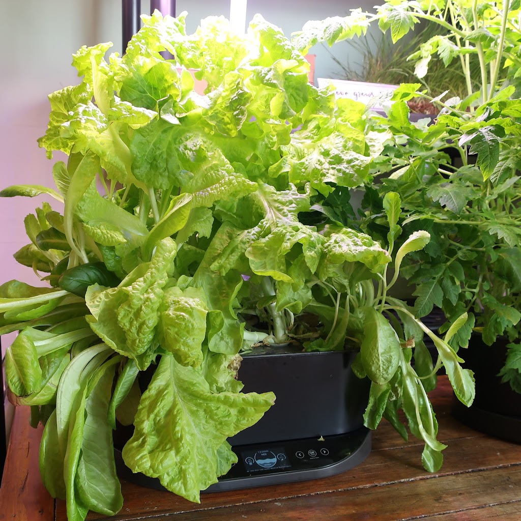 Beautiful YOU by Denise | restaurant | 107 N Prospect St, Ravenna, OH 44266, USA | 3302359814 OR +1 330-235-9814