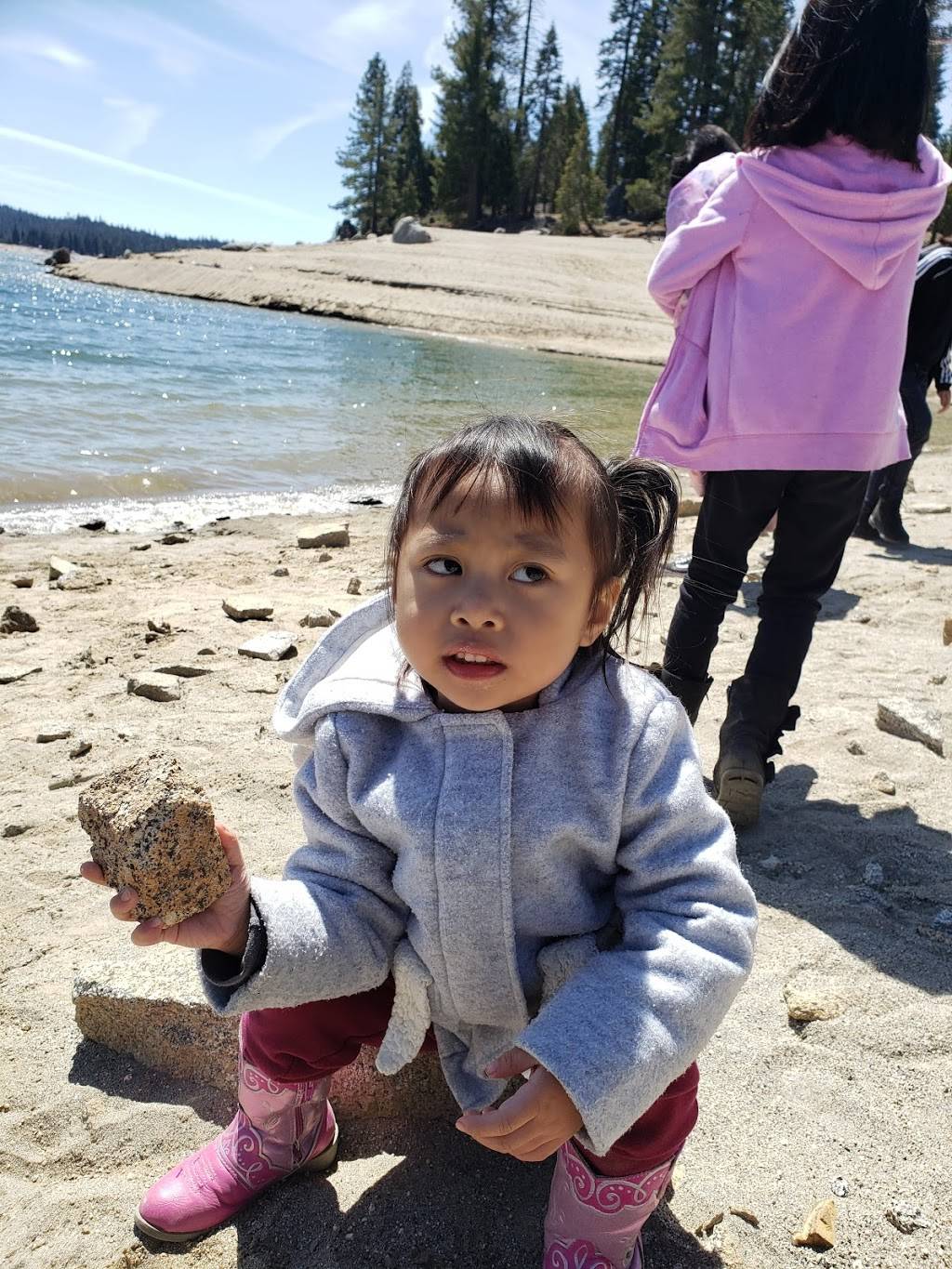 Shaver Lake Lodge Restaurant | restaurant | 44185 CA-168, Shaver Lake, CA 93664, USA | 5598413326 OR +1 559-841-3326