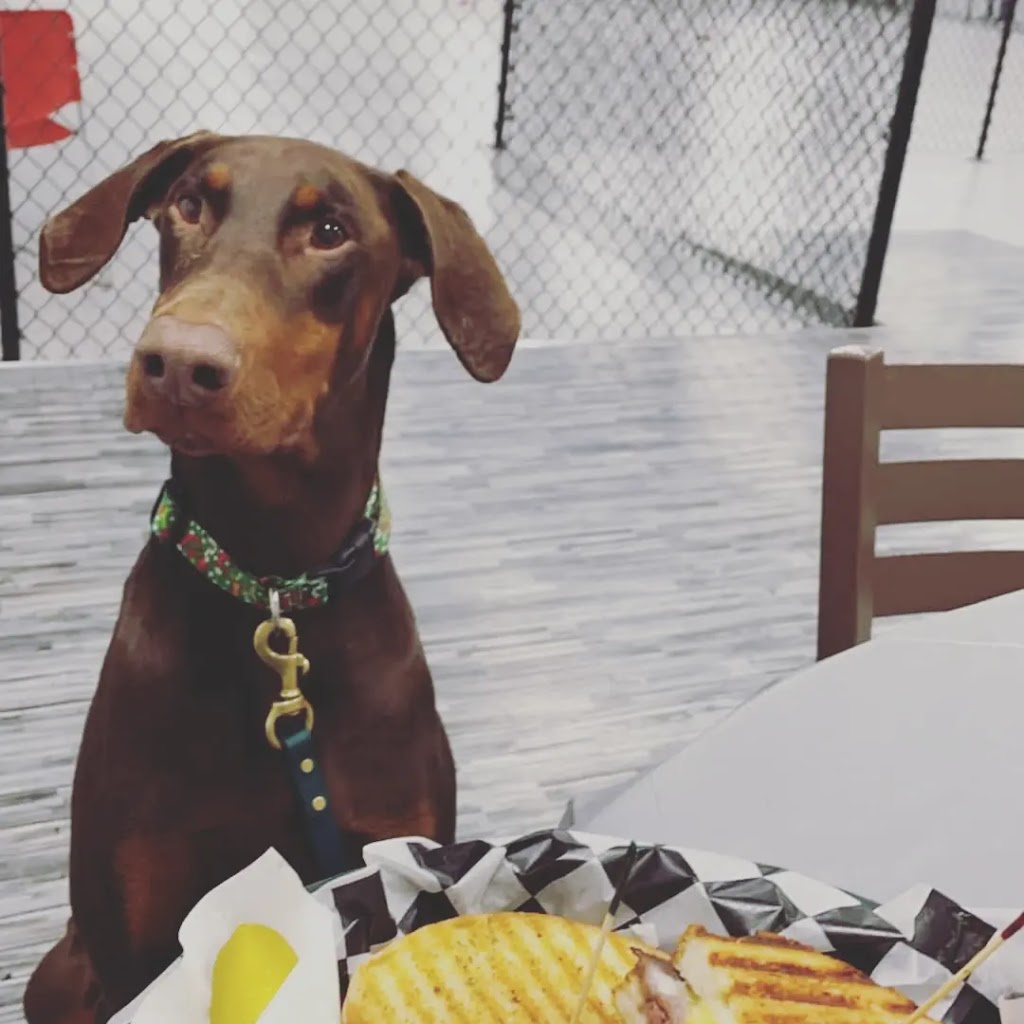 K9 Barks N Brews | cafe | 2866 Pleasant Ave, Hamburg, NY 14075, USA | 7165712275 OR +1 716-571-2275