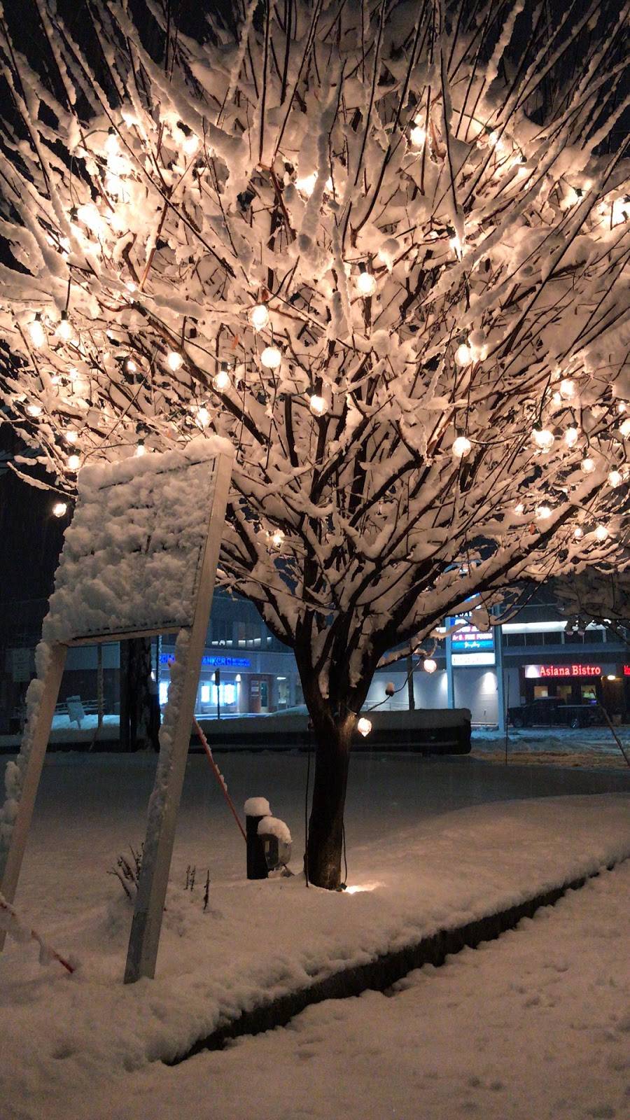 Asiana Bistro | restaurant | 844 High Ridge Rd, Stamford, CT 06905, USA | 2037249333 OR +1 203-724-9333