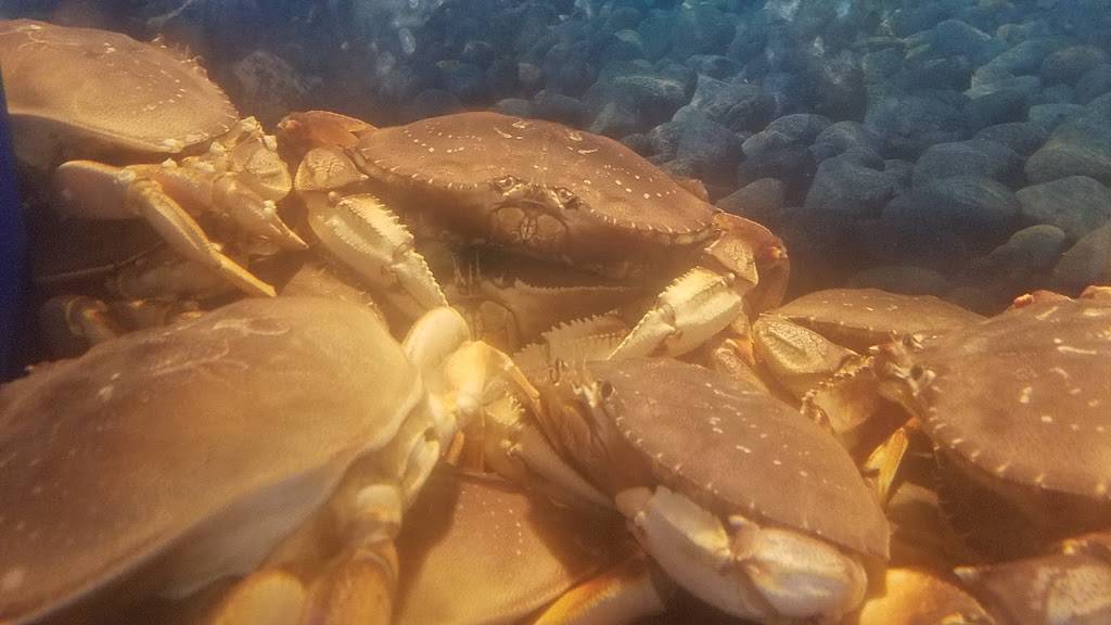 Angry Crab Shack | restaurant | 310 N Litchfield Rd, Goodyear, AZ 85338, USA | 4808786900 OR +1 480-878-6900