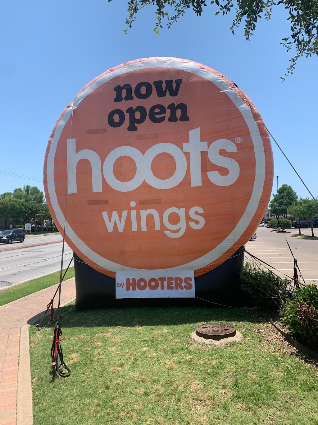 Hoots Wings | restaurant | 2951 S Buckner Blvd suite 300, Dallas, TX 75227, USA | 9725980994 OR +1 972-598-0994