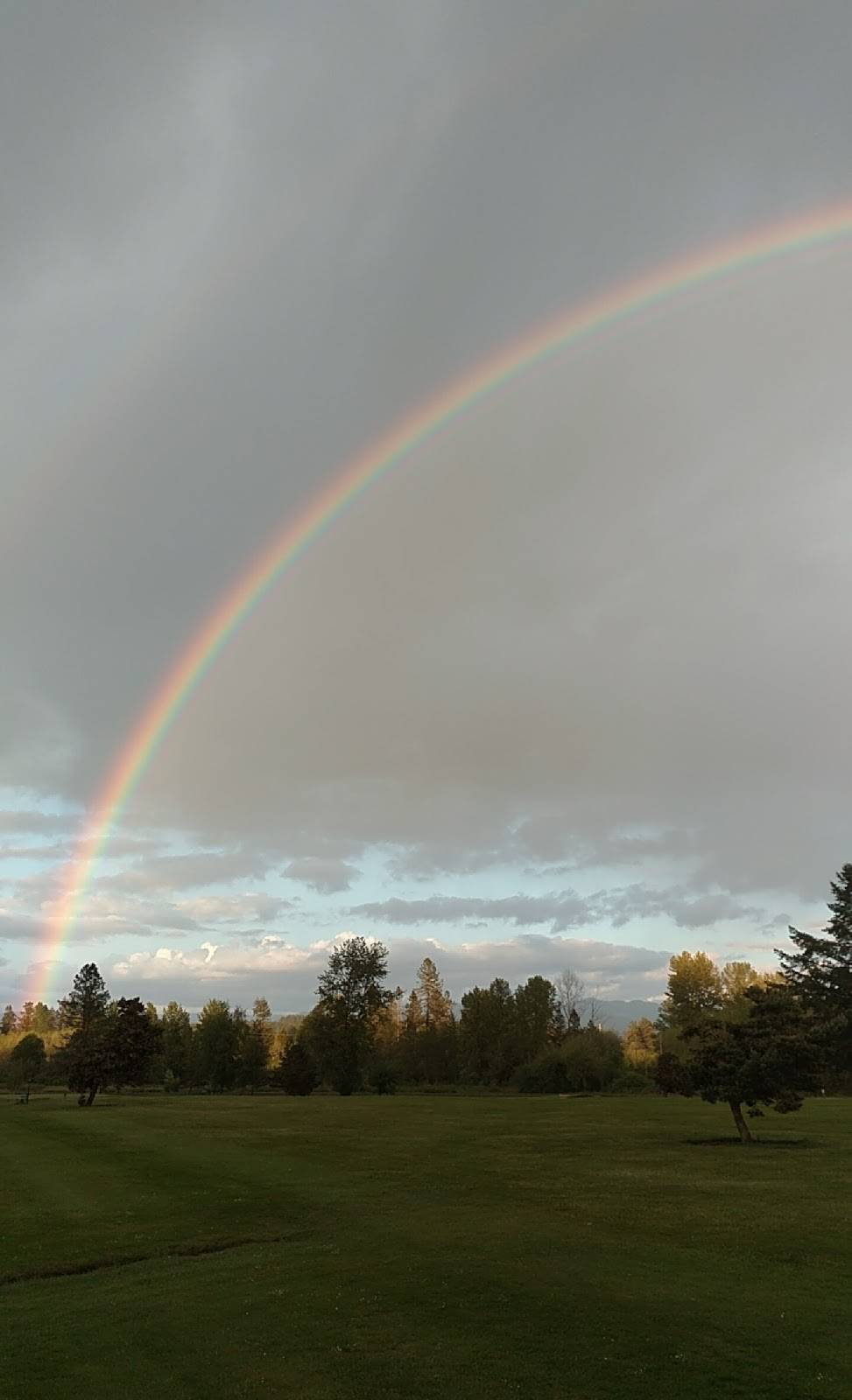 Pineway Golf Course | restaurant | 30949 Pineway Rd, Lebanon, OR 97355, USA | 5412588919 OR +1 541-258-8919