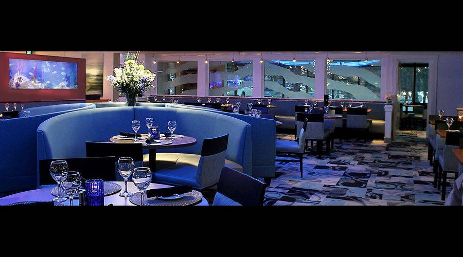 Reel Seafood Company | restaurant | 195 Wolf Rd, Albany, NY 12205, USA | 5184582068 OR +1 518-458-2068