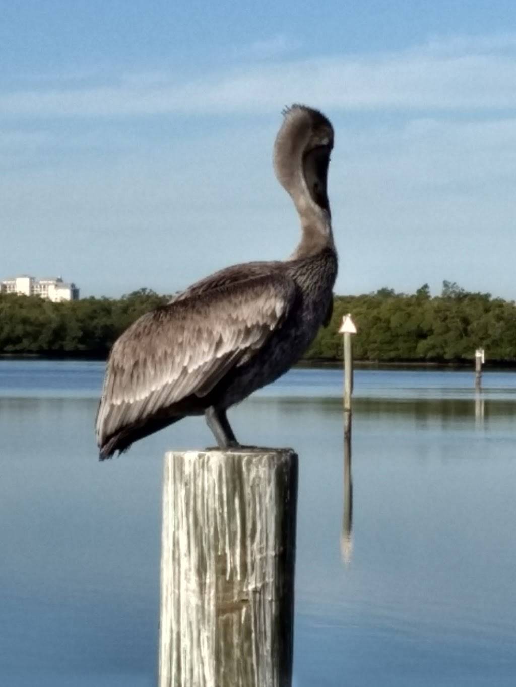 Port Sanibel Marina | restaurant | 14341 Port Comfort Rd, Fort Myers, FL 33908, USA | 2394371660 OR +1 239-437-1660