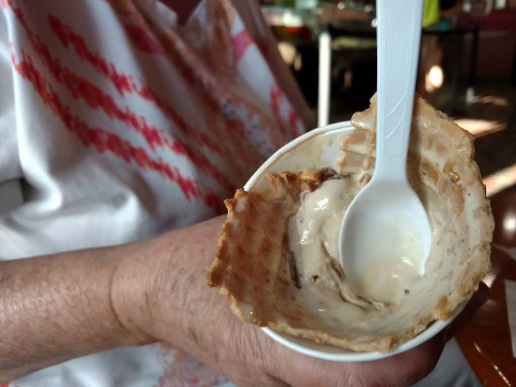 Cold Stone Creamery | bakery | 35607 US Hwy 19 N, Palm Harbor, FL 34684, USA | 7277851300 OR +1 727-785-1300