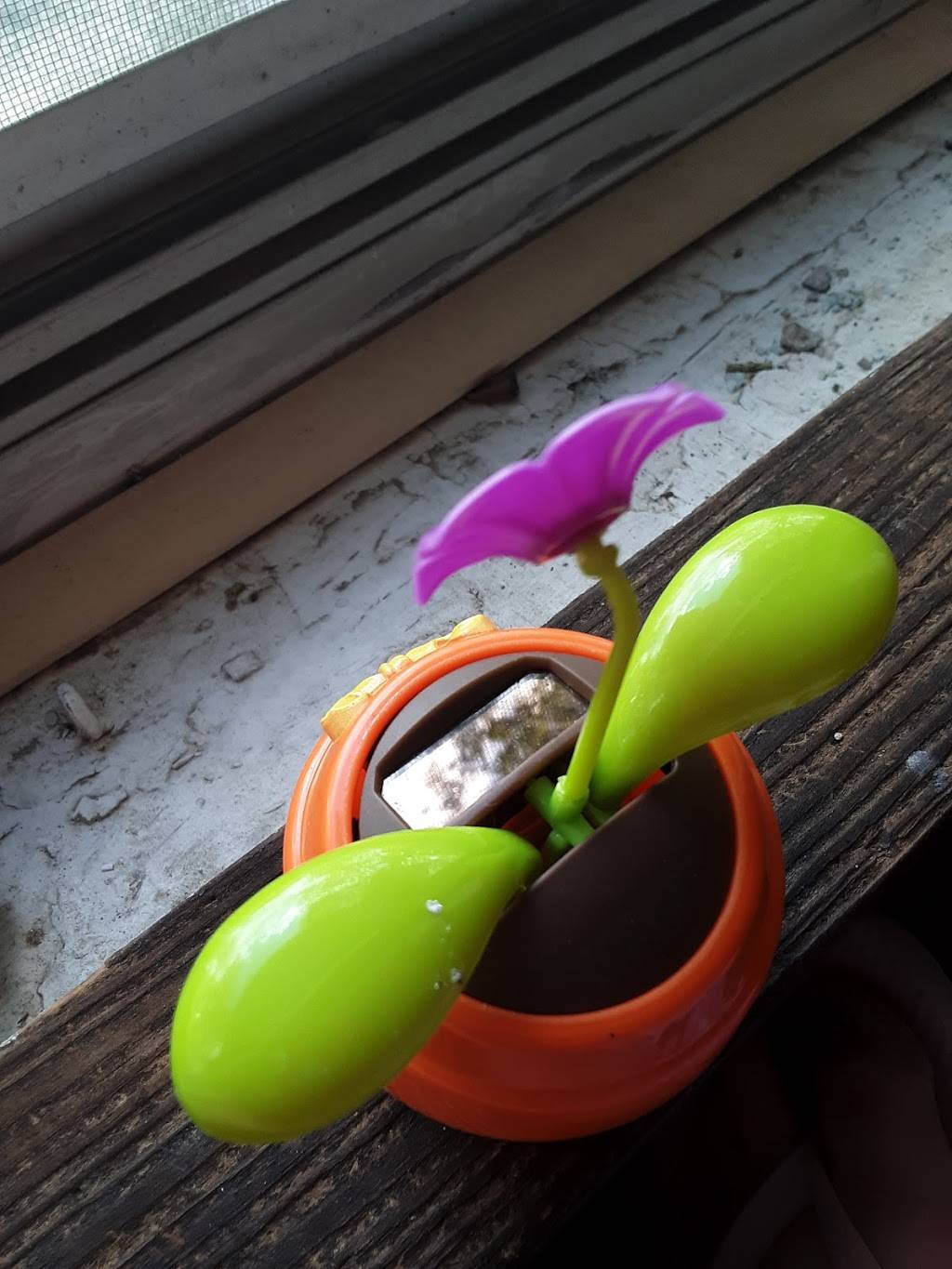 Burger King | restaurant | 1712 N Morley St, Moberly, MO 65270, USA | 6603721493 OR +1 660-372-1493