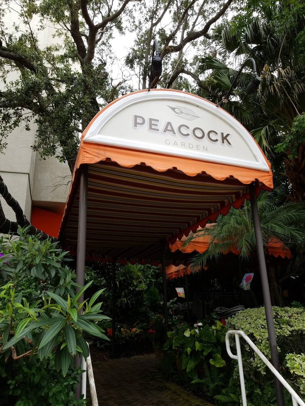 Peacock Garden Bistro | restaurant | 2889 McFarlane Rd, Coconut Grove, FL 33133, USA | 3057743332 OR +1 305-774-3332