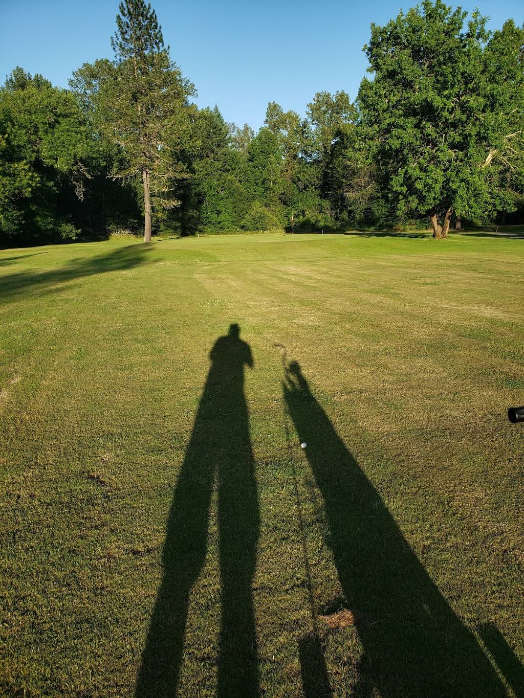 Pineway Golf Course | restaurant | 30949 Pineway Rd, Lebanon, OR 97355, USA | 5412588919 OR +1 541-258-8919