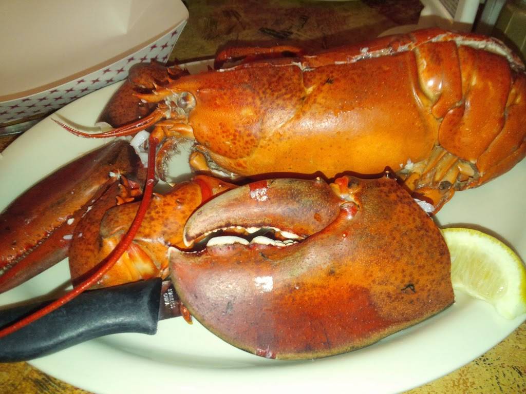 Catfish Annies | restaurant | 116 Commack Rd, Commack, NY 11725, USA | 6314995131 OR +1 631-499-5131