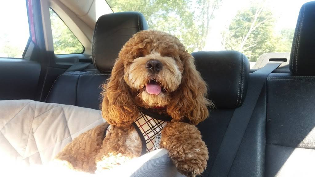 Lynnfield House of Pizza | restaurant | 15 Post Office Square, Lynnfield, MA 01940, USA | 7815903535 OR +1 781-590-3535