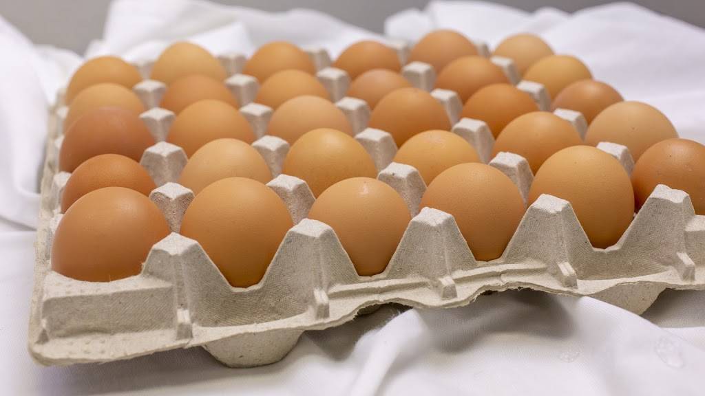 El Pollotote Pollo Fresco | restaurant | 209 S State College Blvd, Anaheim, CA 92806, USA | 7143839971 OR +1 714-383-9971