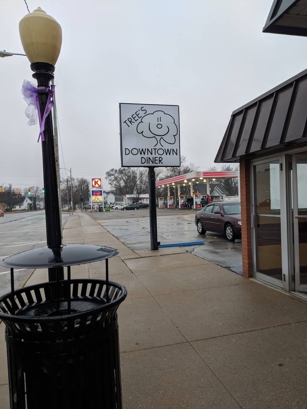 Trees Downtown Diner | restaurant | 224 N Fulton St, Wauseon, OH 43567, USA | 4193355001 OR +1 419-335-5001