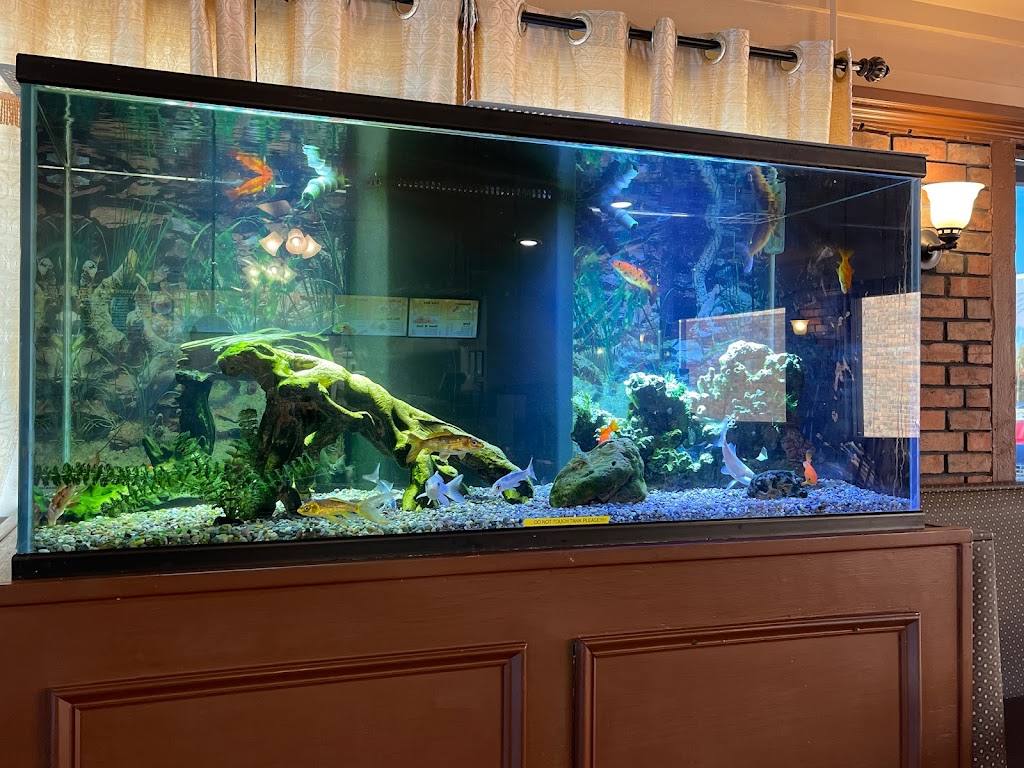 Golden Wok | restaurant | 2809 Pine St, Arkadelphia, AR 71923, USA | 8702301838 OR +1 870-230-1838